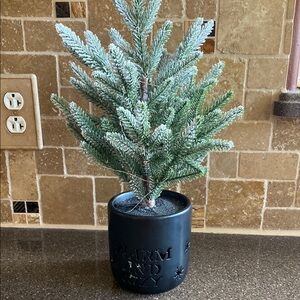 Black Potted Holiday Tree